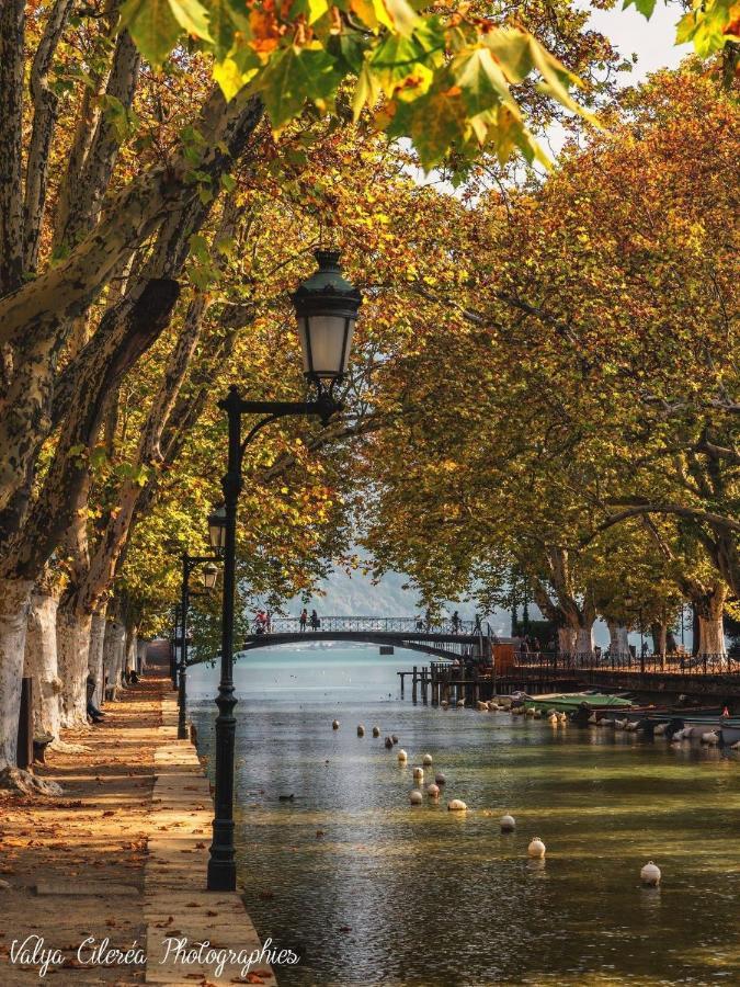 La Madeleine Daire Annecy Dış mekan fotoğraf